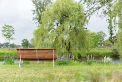 MaximaVida Tuinbank Budapest Oil 170 Cm - Uit Exclusief Mahoniehout -Gardena Verkoop 1200x800 47